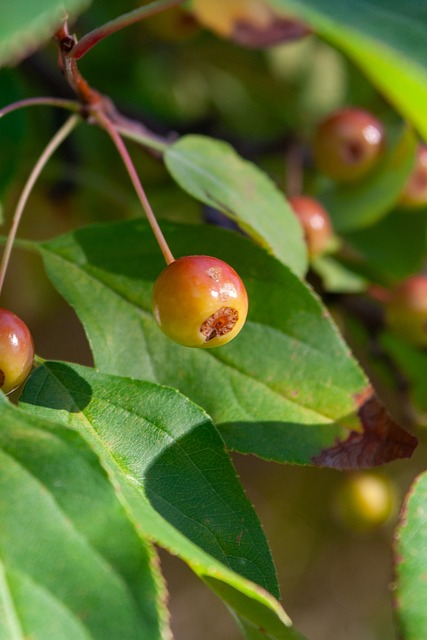 结合地域特 结合地域特