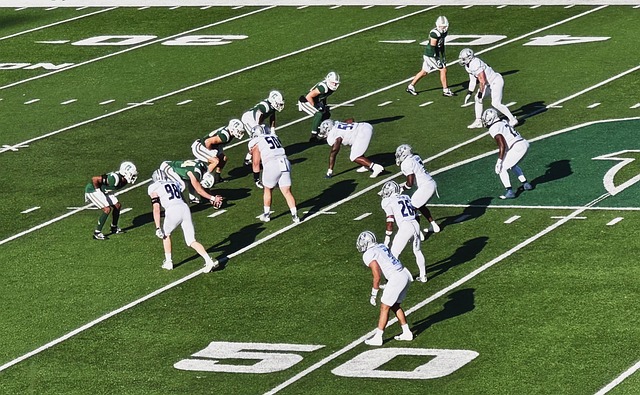 基米希在德 基米希在德