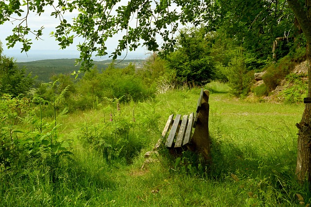 视的力量 视的力量