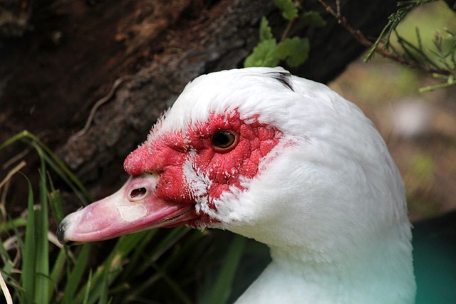 全面提升了 全面提升了