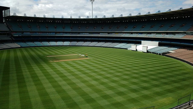 泰山队在比 泰山队在比