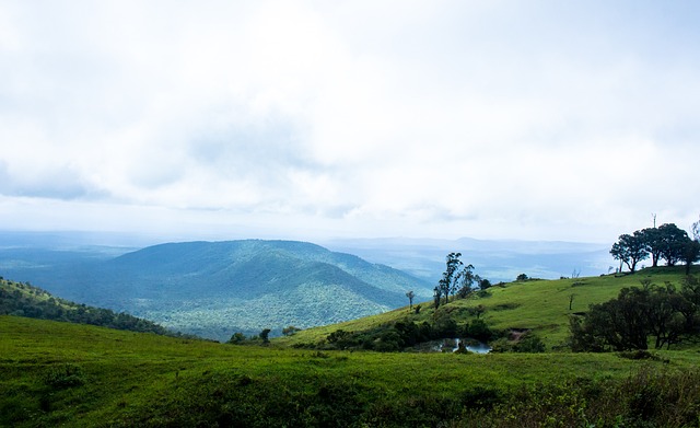 都为联赛注 都为联赛注