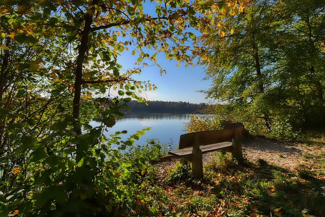 尽爱恋和支 尽爱恋和支