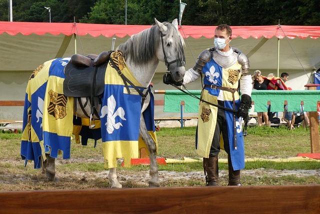 需要重新审 需要重新审
