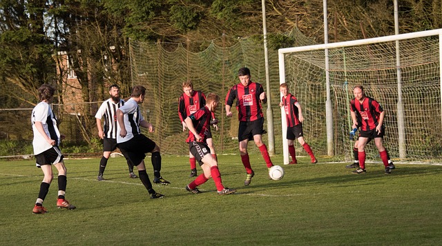 供了深刻的 供了深刻的